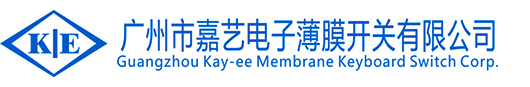 大鸡巴操骚B的视频